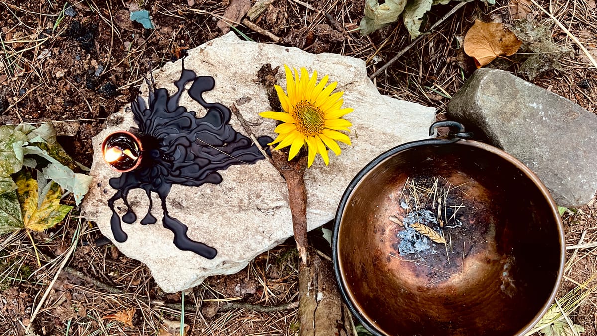 She Turns, and So Do We